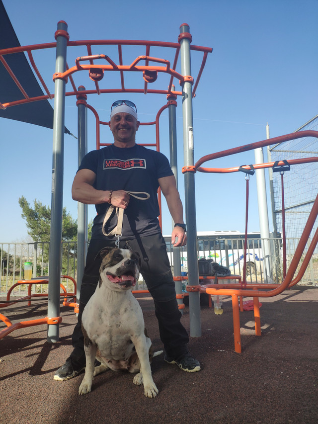 Personal training 1 on 1, 1 on 2 in Health & Special Needs in Calgary - Image 3