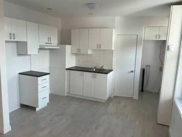 4 1/2 avec 2 chambles