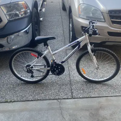 SC1800 Supercycle Bicycle 9-12yrs old, View more