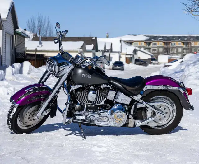 1998 Harley Davidson Fat Boy in Street, Cruisers & Choppers in Fort McMurray - Image 2