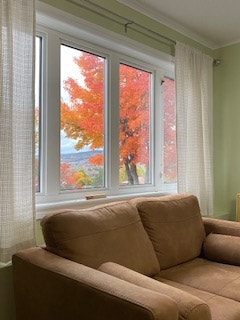 One furnished bedroom apartment for rent 3