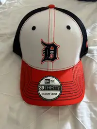 Detroit Tigers Hat
