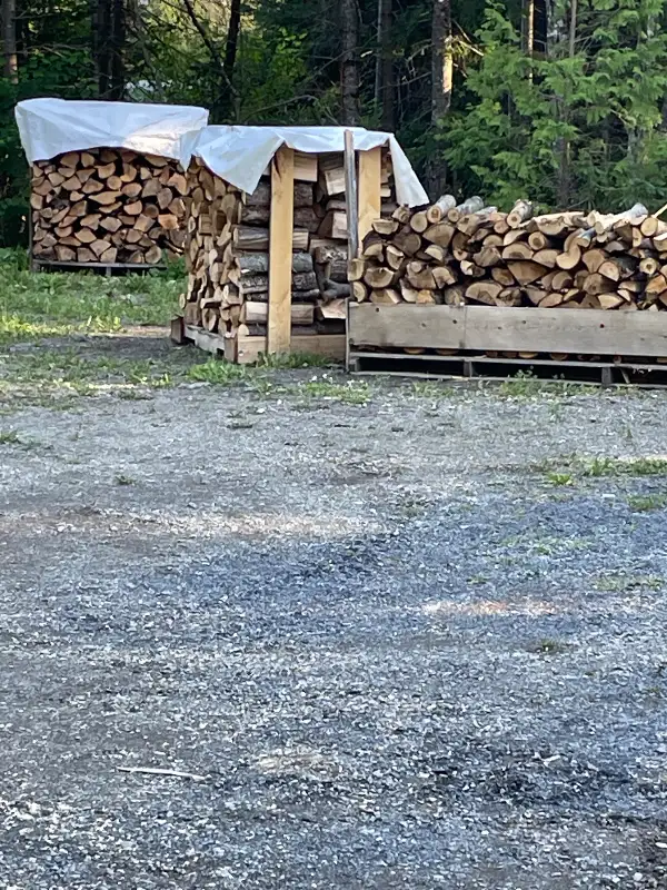 Bois de chauffage in Fireplace & Firewood in Edmundston - Image 9