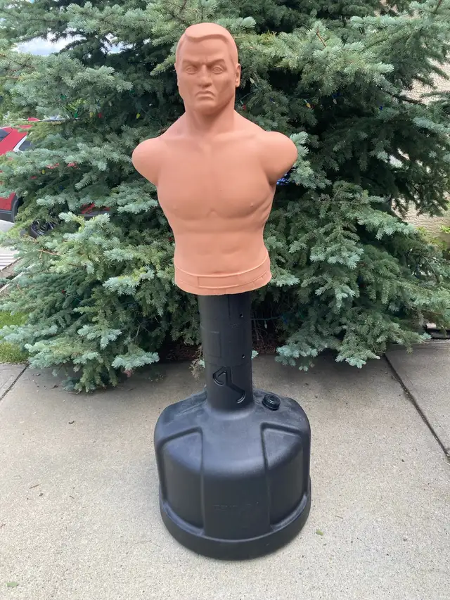 Century BOB in Exercise Equipment in Calgary - Image 2