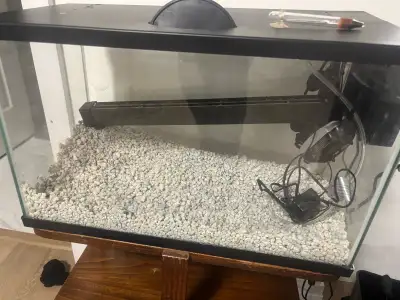 10 gallon fish tank with all accessories basically brand new been running for 1 month paid 250$ sell...