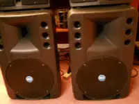 2 RCF Powered Speakers