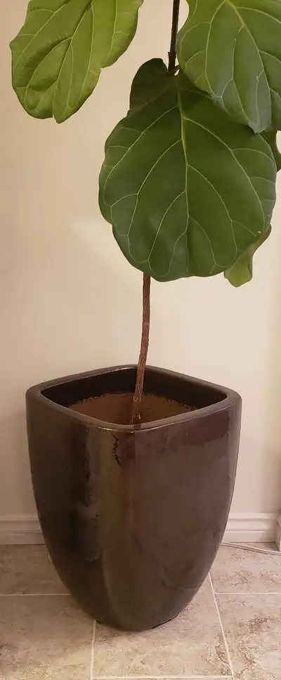 Ceramic Planter, View more