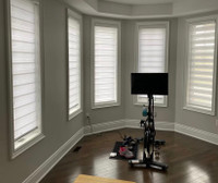 CUSTOM ZEBRA BLINDS, SHUTTERS & MORE! BUY DIRECT FROM US SAVE $$