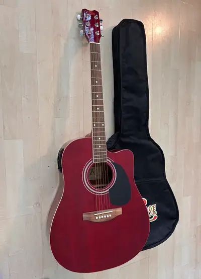 Rose Acoustic/Electric Guitar & Case, View more