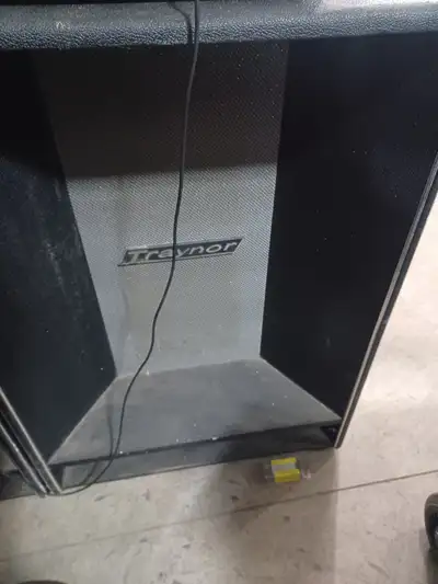 Traynor professional stage speakers, View more