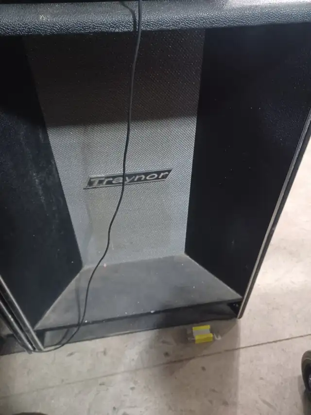 Traynor professional stage speakers in Performance & DJ Equipment in St. Albert - Image 2