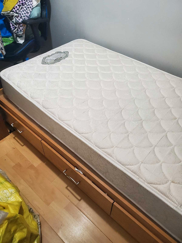 Single Mattress  in Beds & Mattresses in Moncton - Image 3