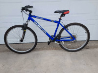 2000 Kona Hahanna Mountain Bike 18" Frame 