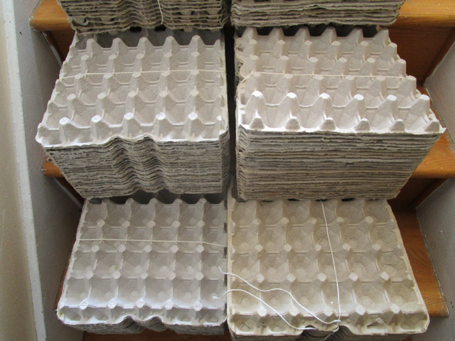 6 X 25 plateaux de 30 d œufs AUBAINE À qui la chance !? dans Animaux de ferme  à Laval/Rive Nord - Image 2