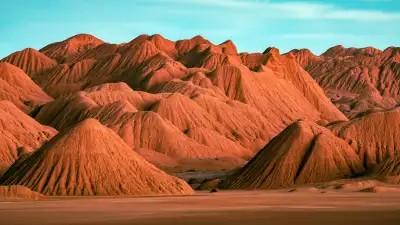 Large Private Room for Rent – $800/Month (Townhouse, 2nd Floor) A spacious private room is available...