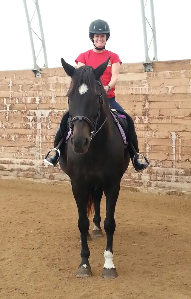 Black Friday Sale on Horseback Riding Lessons64520064854402120