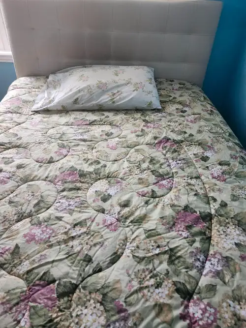 Private basement room for rent in Burlington Town Home Appleby/ Corporate Dr. The room is fully carp...