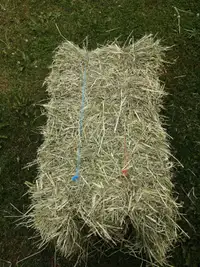 Rabbit Hay for Sale