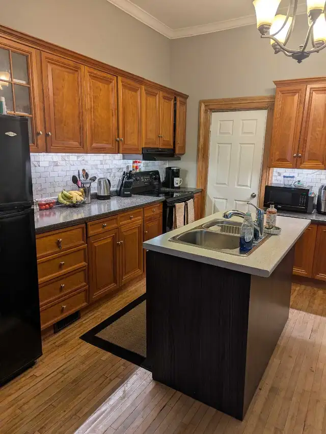 Century Home For Rent in Ontario in Canada - Image 3