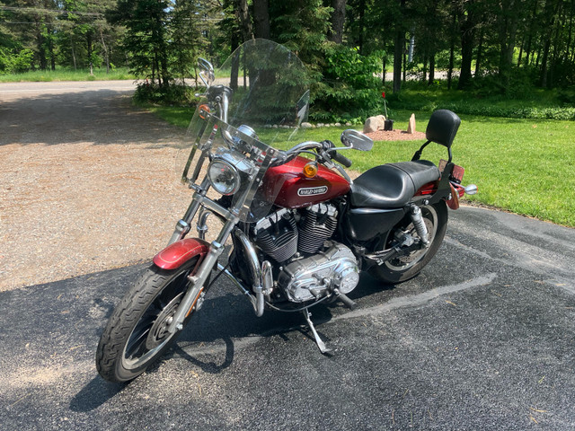 2009 Harley Davidson Sportster low 1200cc in Sport Touring in Sault Ste. Marie