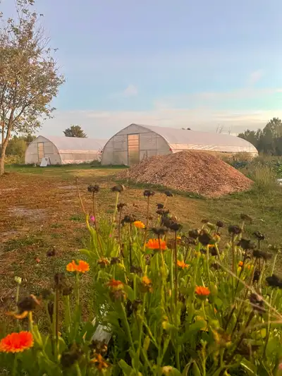 Terre située à Bristol dans le Pontiac. Bâtiment de ferme isolé et chauffé avec poulailler (capacité...