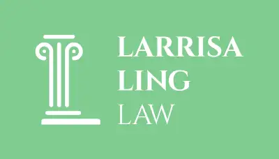 CANADIAN IMMIGRATION, CRIMINAL, AND CIVIL LITIGATION LAWYER, View more