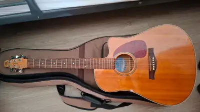 Selling a Seagull Guitar, View more