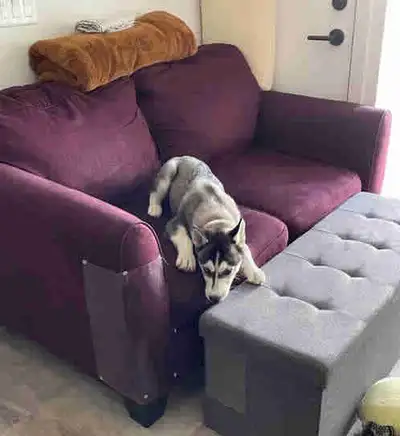 cozy love seat, View more
