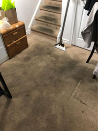 Mattress, Rug And Carpet Cleaning