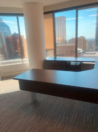 Private Offices Available ($229.99) Downtown