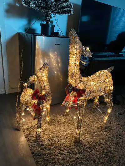 Lighted Christmas Reindeer Set, View more