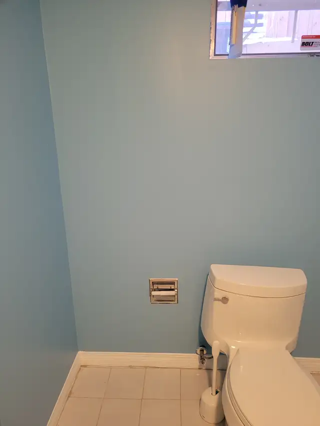 Stains & Paints62863710940417124