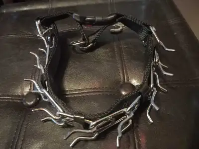 Black Dog Training Collar with Prong, View more