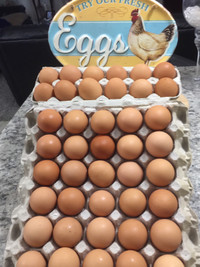  we have farm fresh Brown eggs 