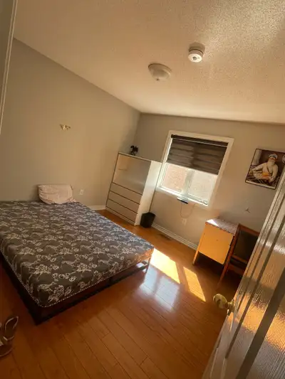 Room available for sharing