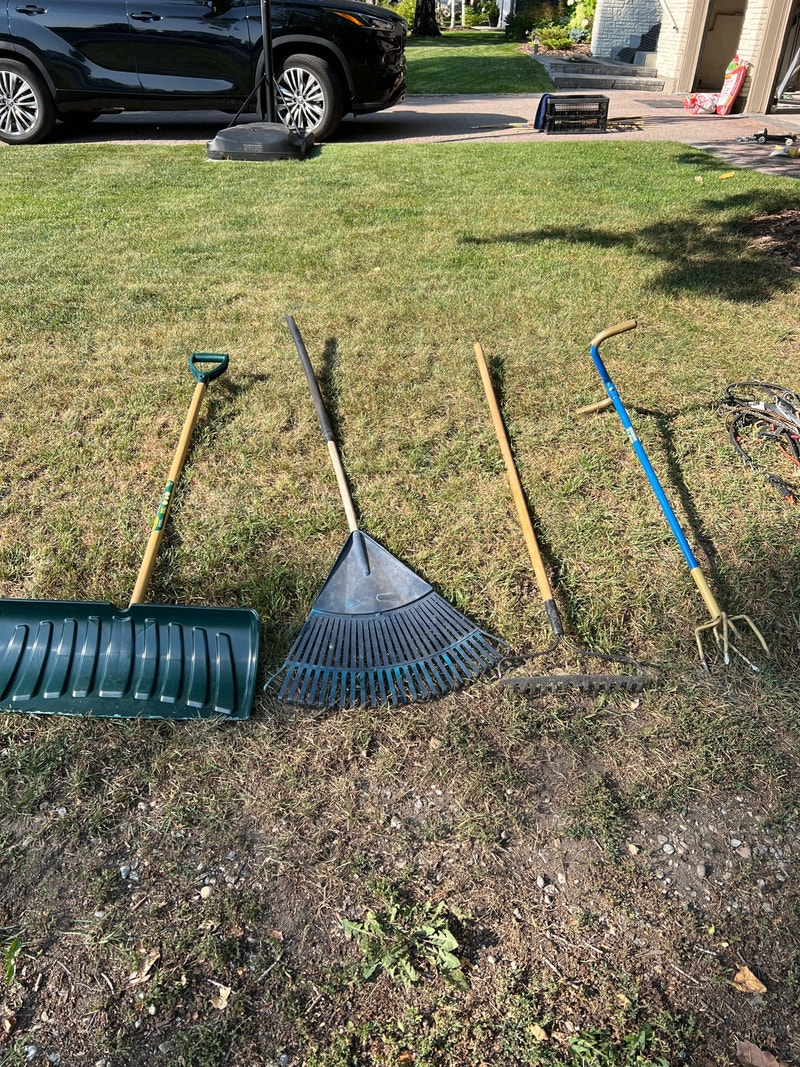 Rakes, garden tools, bungee chords, broom clips etc Free Stuff