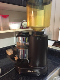 Commercial Coffee Grinder / Brazilia