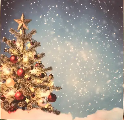 Paper-Vinyl Christmas Backdrops approx 5’x5’, View more