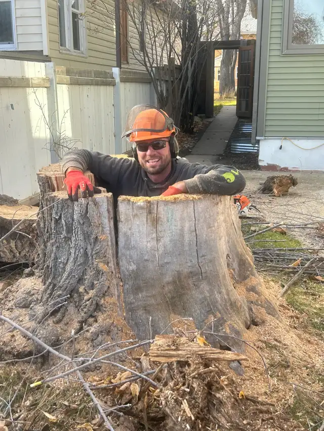 FAMILY TREE SERVICE  306-230-6910 in Snow Removal & Property Maintenance in Saskatoon - Image 5