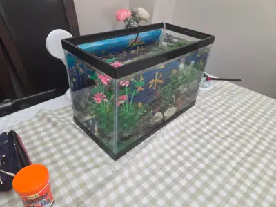 Fish tank, 5.5 gallons & 30 + small fishes. Complete with everyt, View more