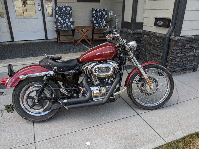 2006 Harley-Davidson 1200 Sportster in Street, Cruisers & Choppers in Quesnel