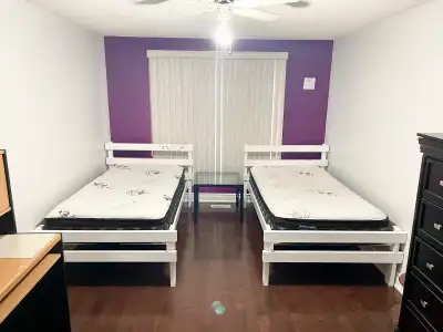 Room For Rent