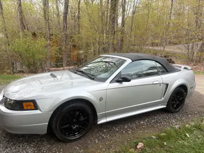 Mustang décapotable va très bien pas de check engin allumé mets le toit en arrière ou la fenêtre qua...