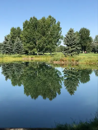 Elbow Springs Golf Membership, View more