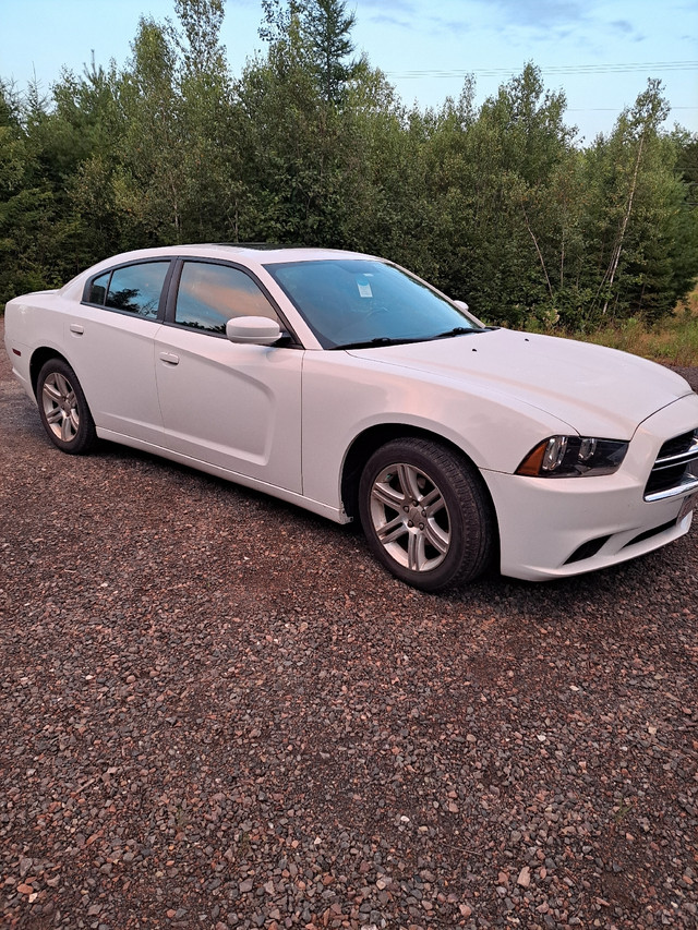 2011 Dodge Charger in Cars & Trucks in Moncton
