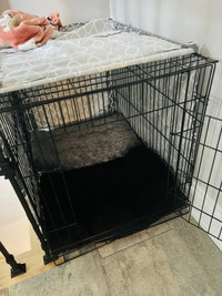 Cage pliante en métal et housse pour chien 76.2 cm