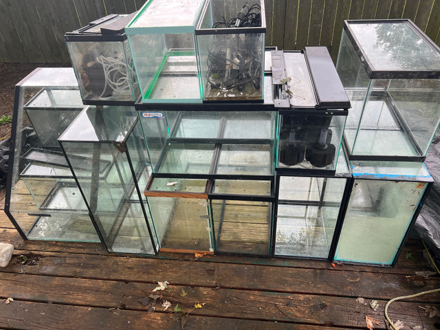 Fish tanks  in Fish for Rehoming in Leamington - Image 3