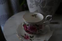Royal Albert Tea Cup and Saucer
