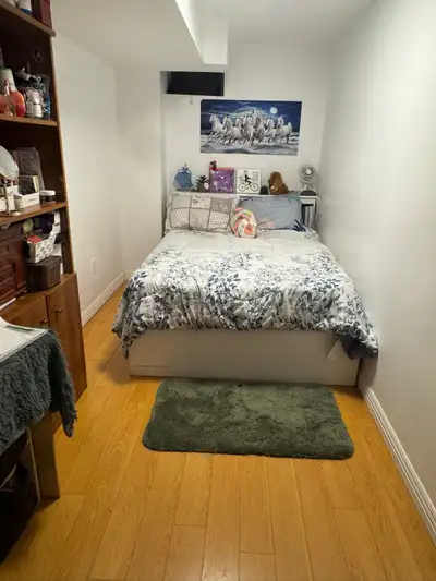 Basement room for rent, steps to Seneca@york ,9 minutes walk from finch East / Wast TTC Subway and a...