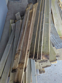 Fence boards/free wood 